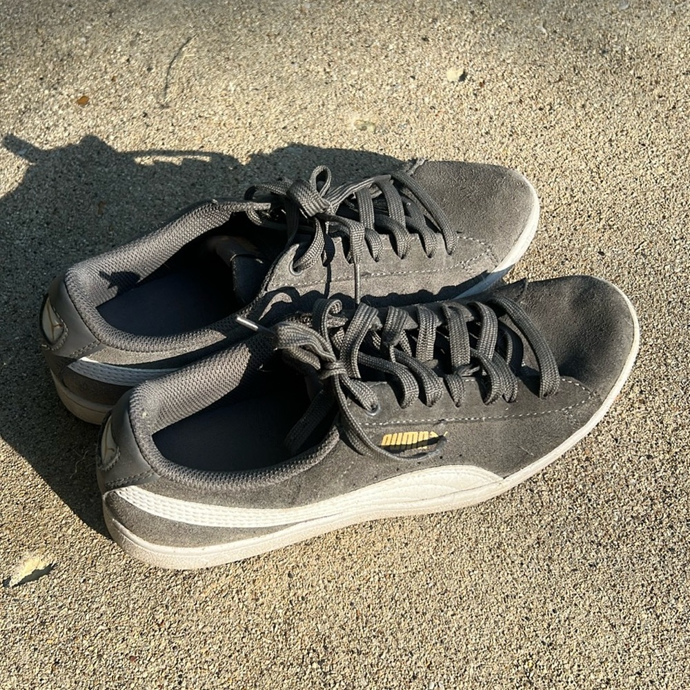 Grey Pumas